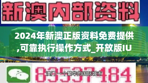 新澳2024年精准资料期期,关于新澳2024年精准资料期期与违法犯罪问题的探讨