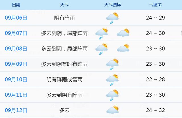 2025年1月12日 第17页