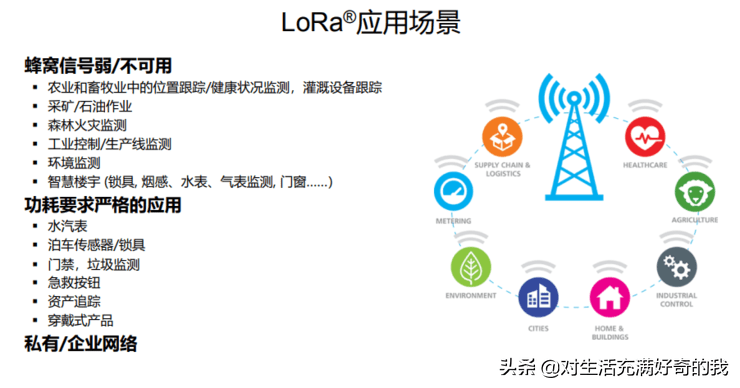 澳门特马网站www,澳门特马网站www的真相与警示——远离网络赌博，切勿触碰法律红线