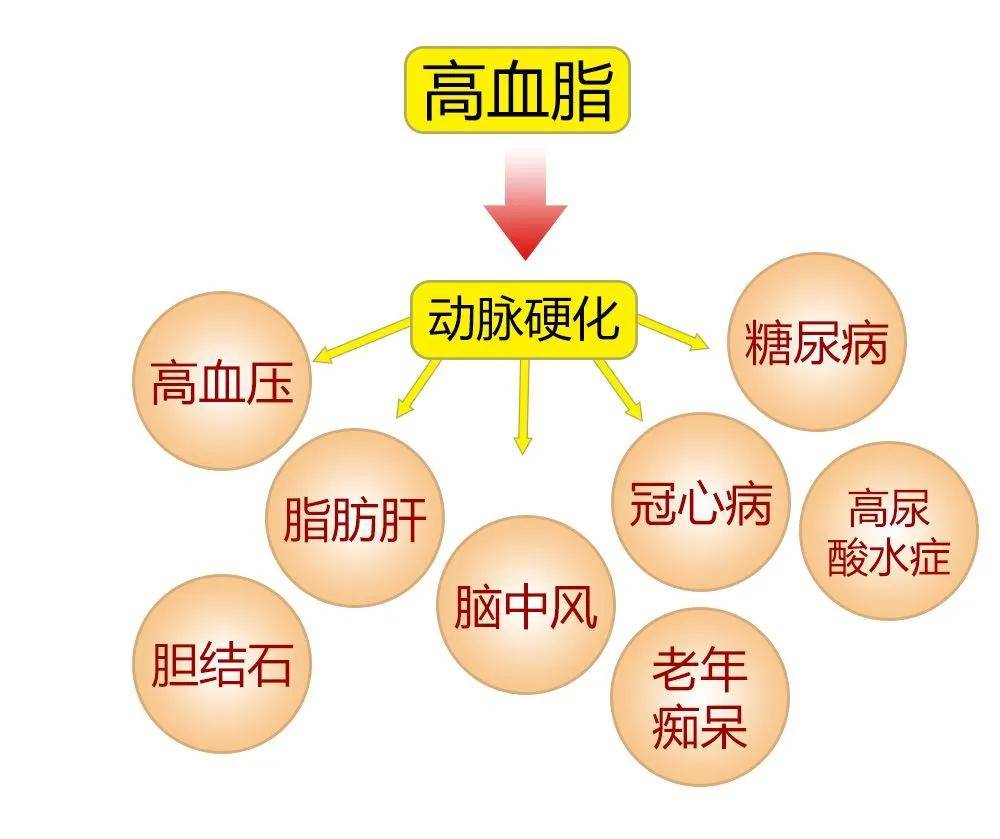 新澳门一码一肖一特一中2024高考,新澳门一码一肖一特一中与高考展望，探寻未来的教育之路（2024年高考分析）