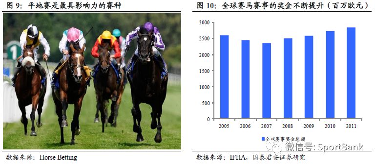 2024澳门买马最准网站,探索澳门赛马，2024年最精准的购马平台展望