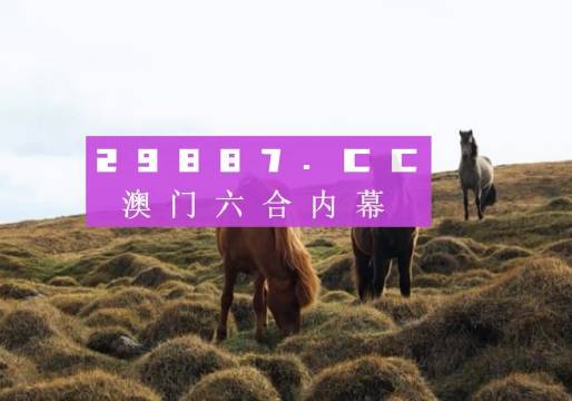 澳门4949开奖结果最快,澳门4949开奖结果最快，探索最新开奖动态与实时资讯