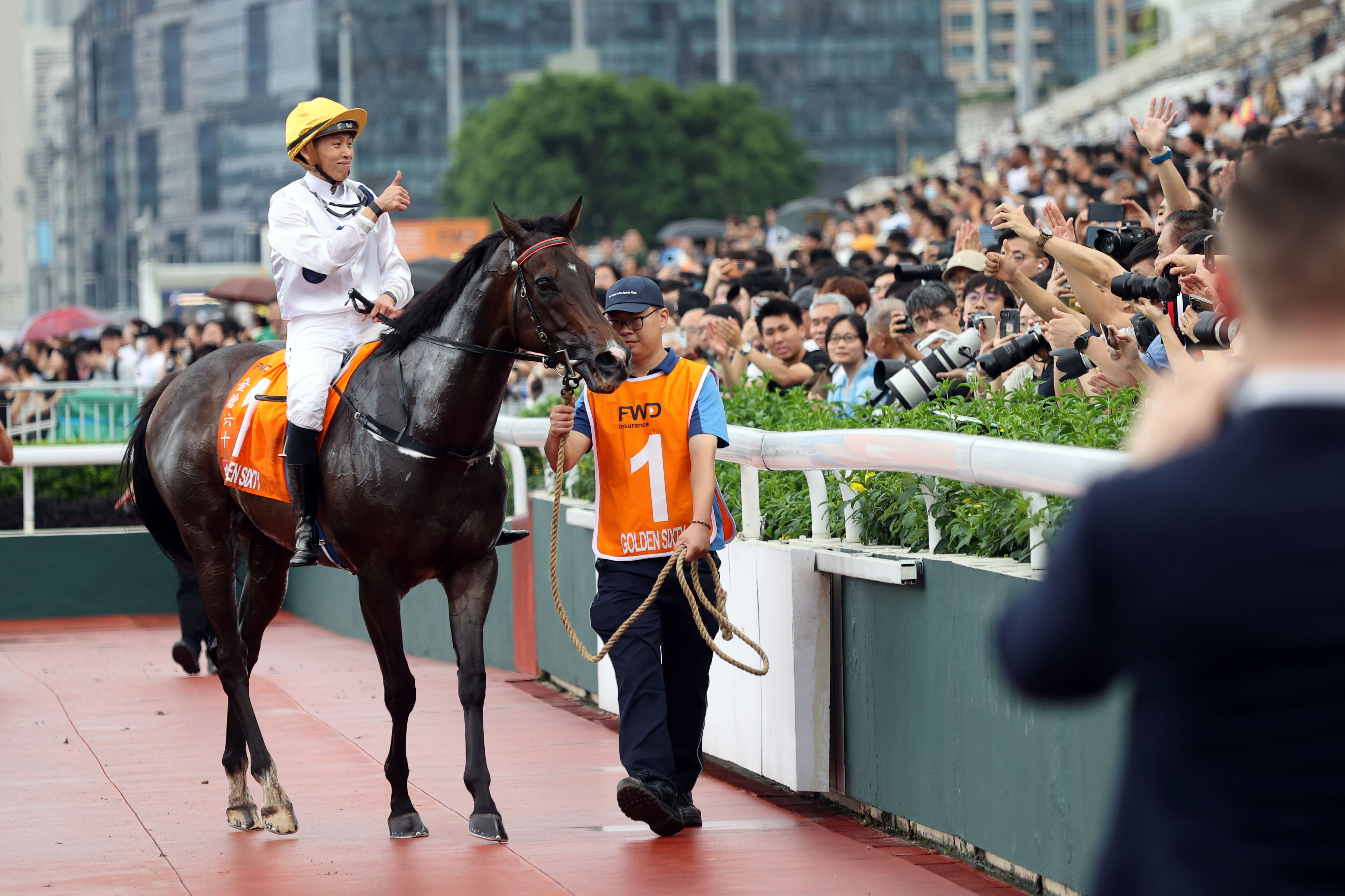 香港最准马会资料免费,香港最准马会资料免费，探索赛马世界的秘密